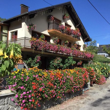 Chambres D'Hotes Les Cigognes Metzeral Buitenkant foto