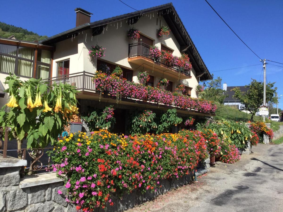 Chambres D'Hotes Les Cigognes Metzeral Buitenkant foto