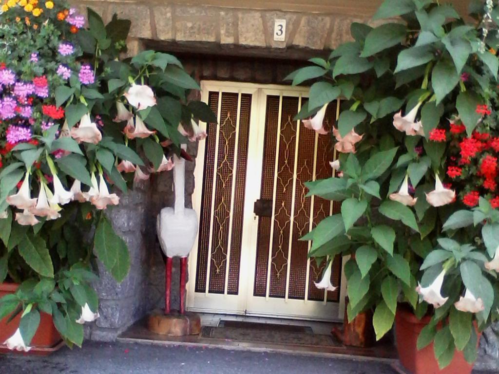 Chambres D'Hotes Les Cigognes Metzeral Buitenkant foto
