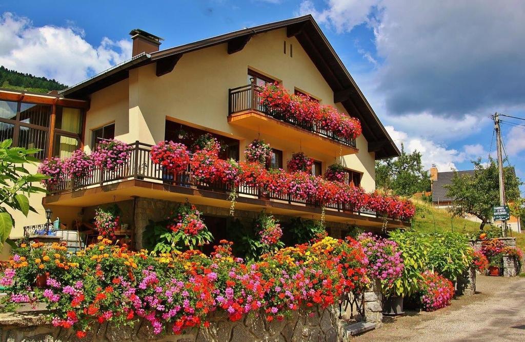 Chambres D'Hotes Les Cigognes Metzeral Buitenkant foto