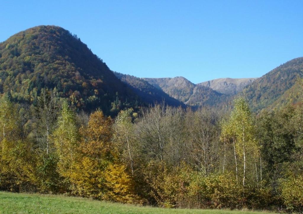 Chambres D'Hotes Les Cigognes Metzeral Buitenkant foto