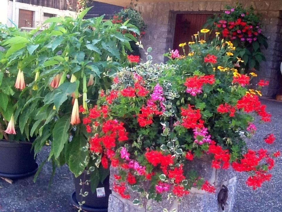 Chambres D'Hotes Les Cigognes Metzeral Buitenkant foto
