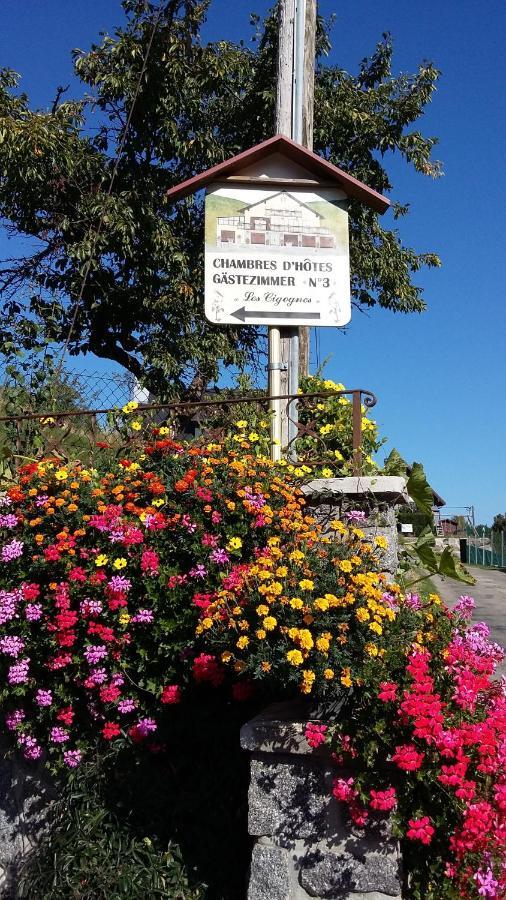 Chambres D'Hotes Les Cigognes Metzeral Buitenkant foto